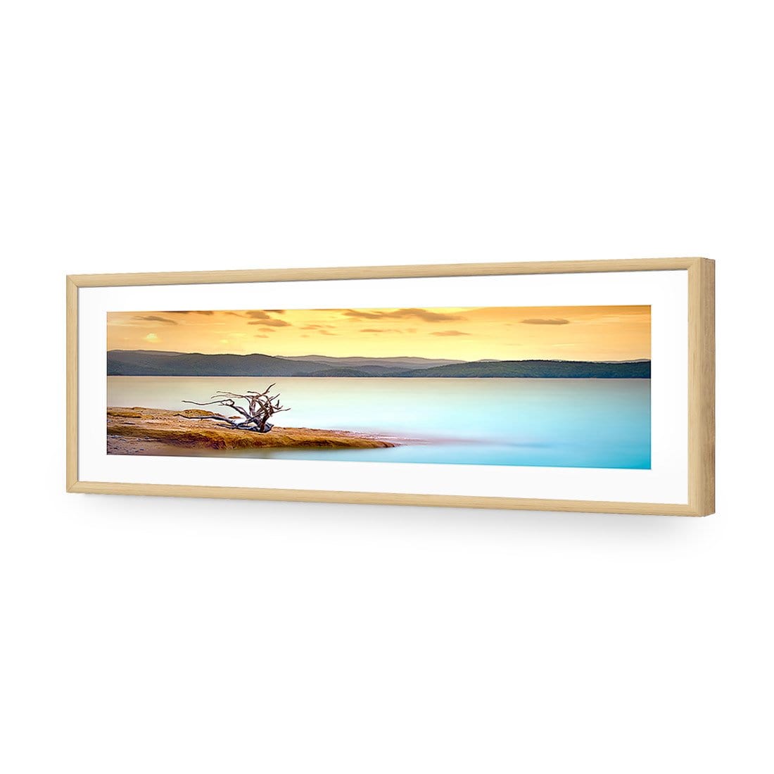 Driftwood Peninsula (long)