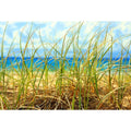 Dune Grass