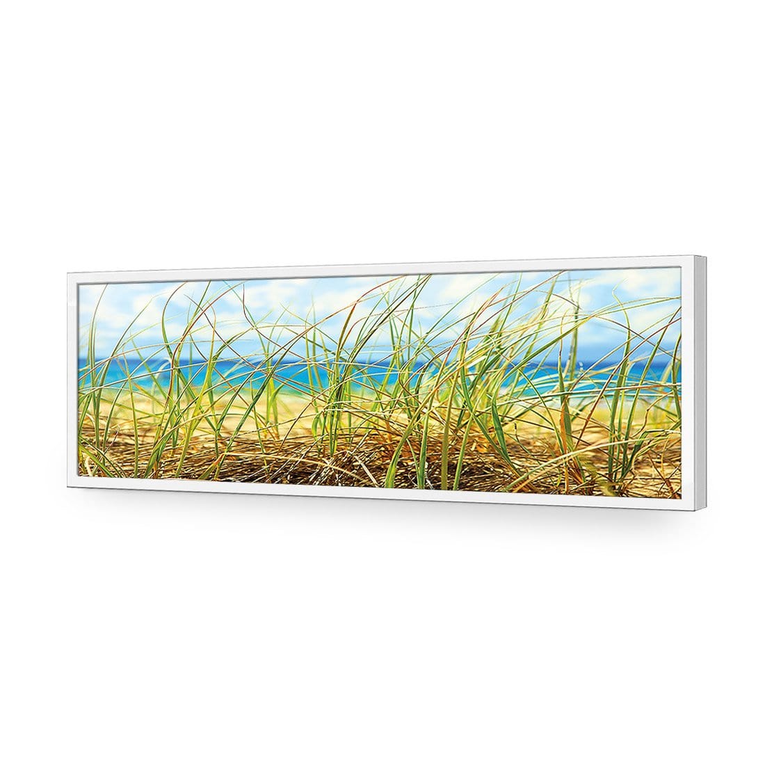Dune Grass (Long)