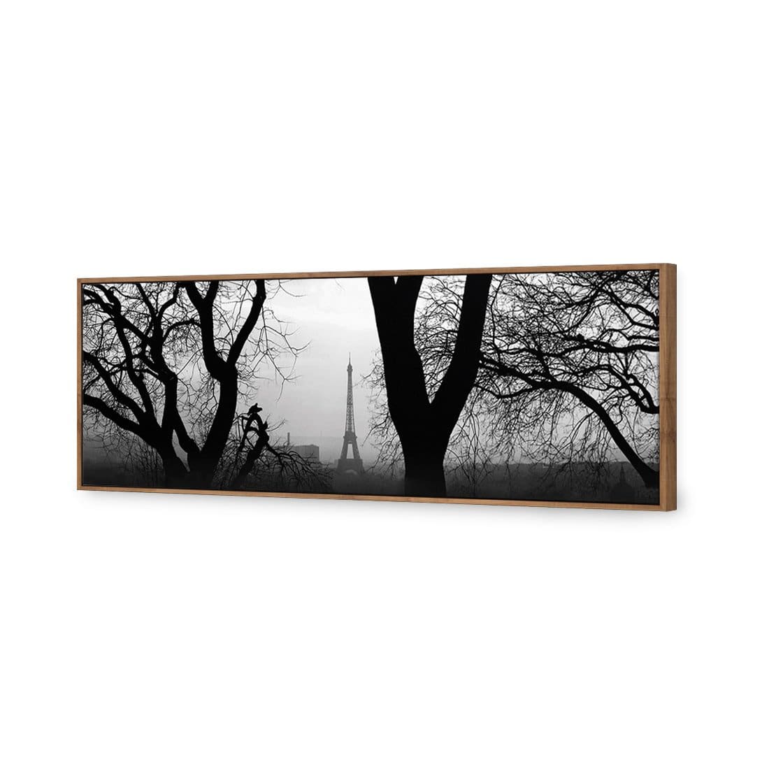 Eiffel Tower Through Trees, B&W Canvas Art