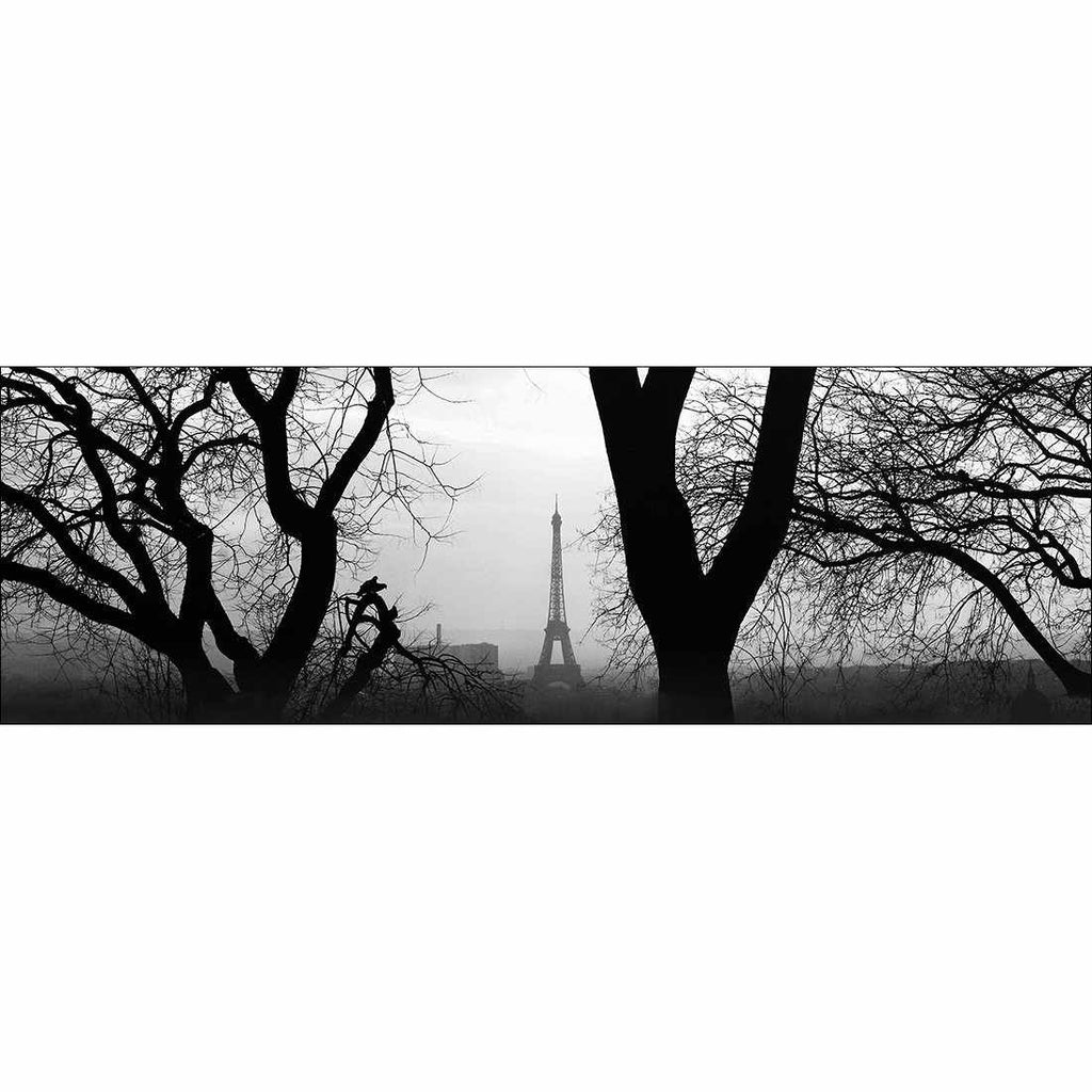 Eiffel Tower Through Trees, B&W Canvas Art
