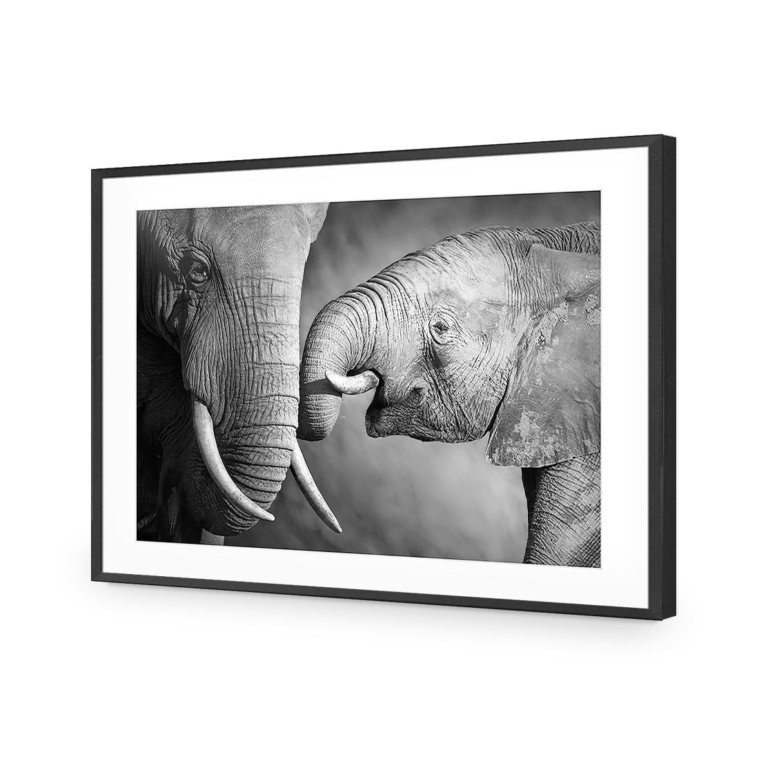 Elephant And Mum, B&W Acrylic Print Art