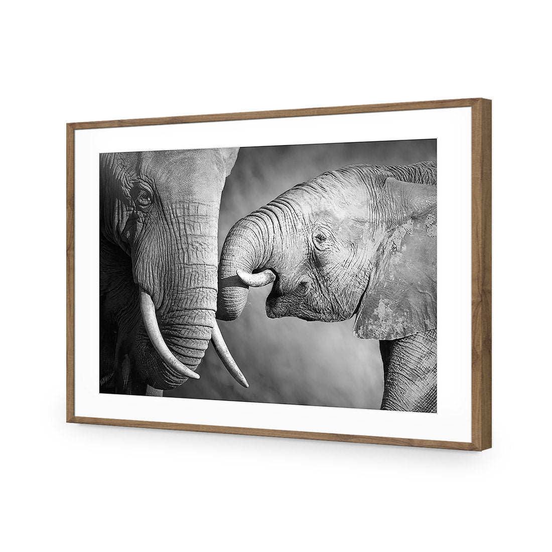 Elephant And Mum, B&W Acrylic Print Art