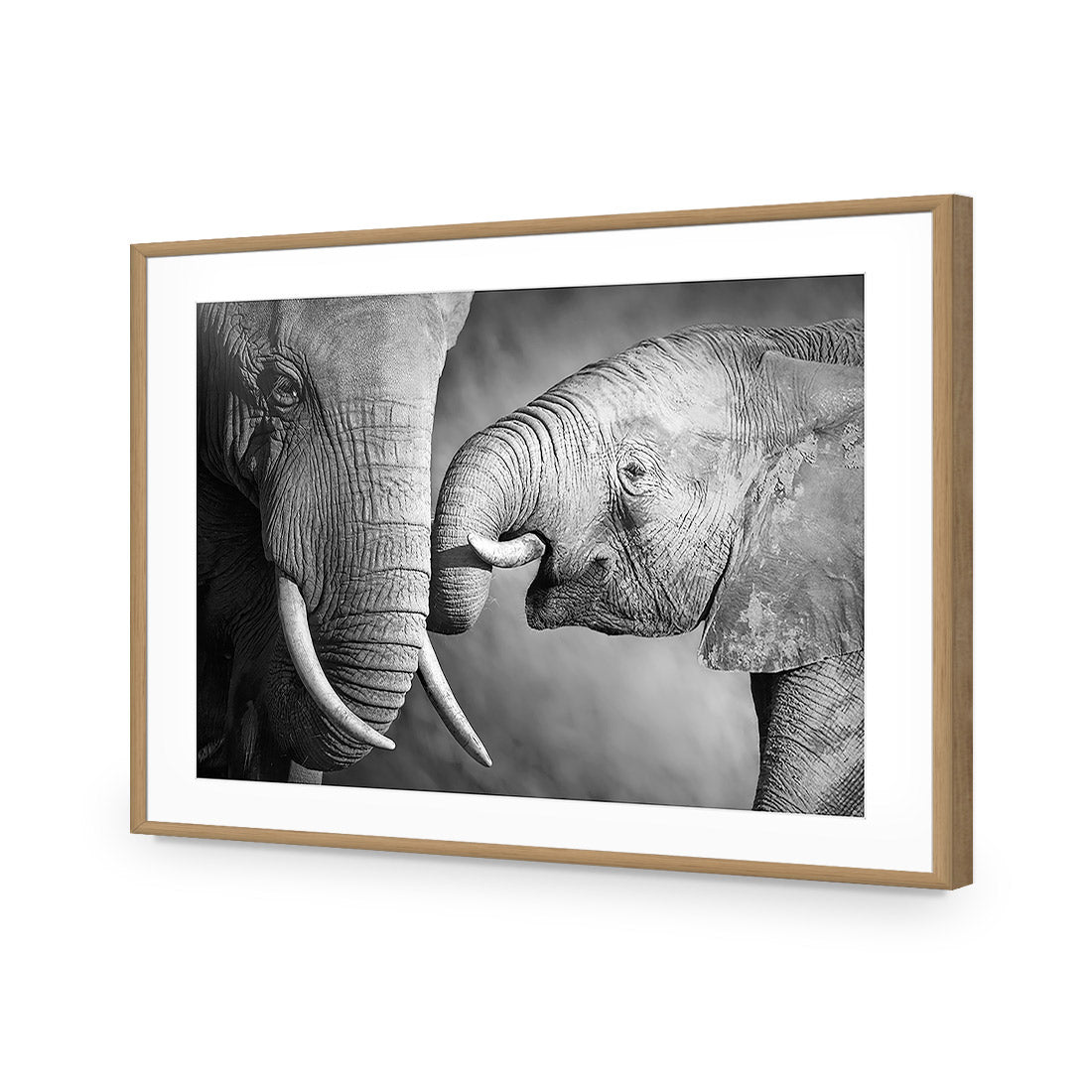 Elephant And Mum, B&W Acrylic Print Art