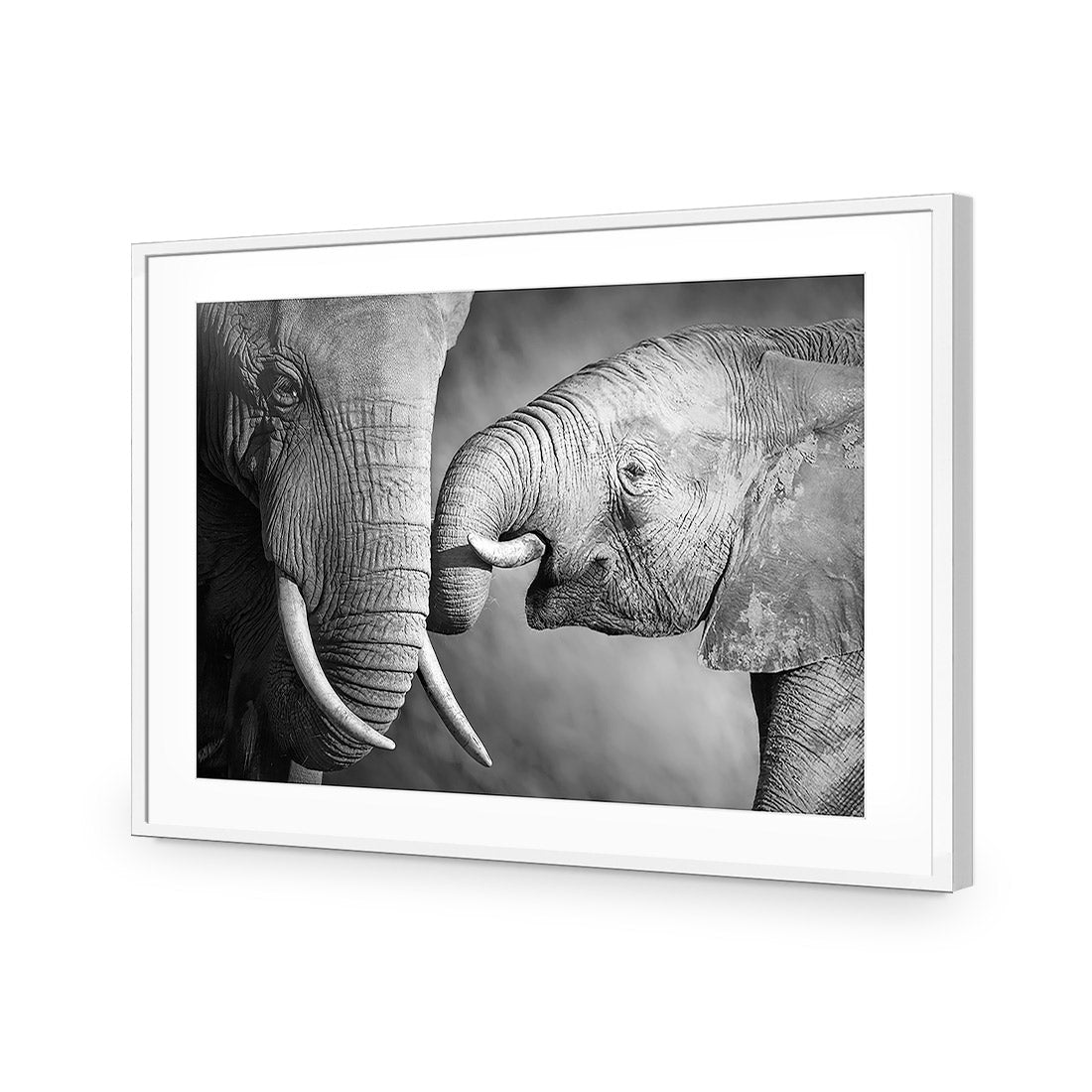Elephant And Mum, B&W Acrylic Print Art