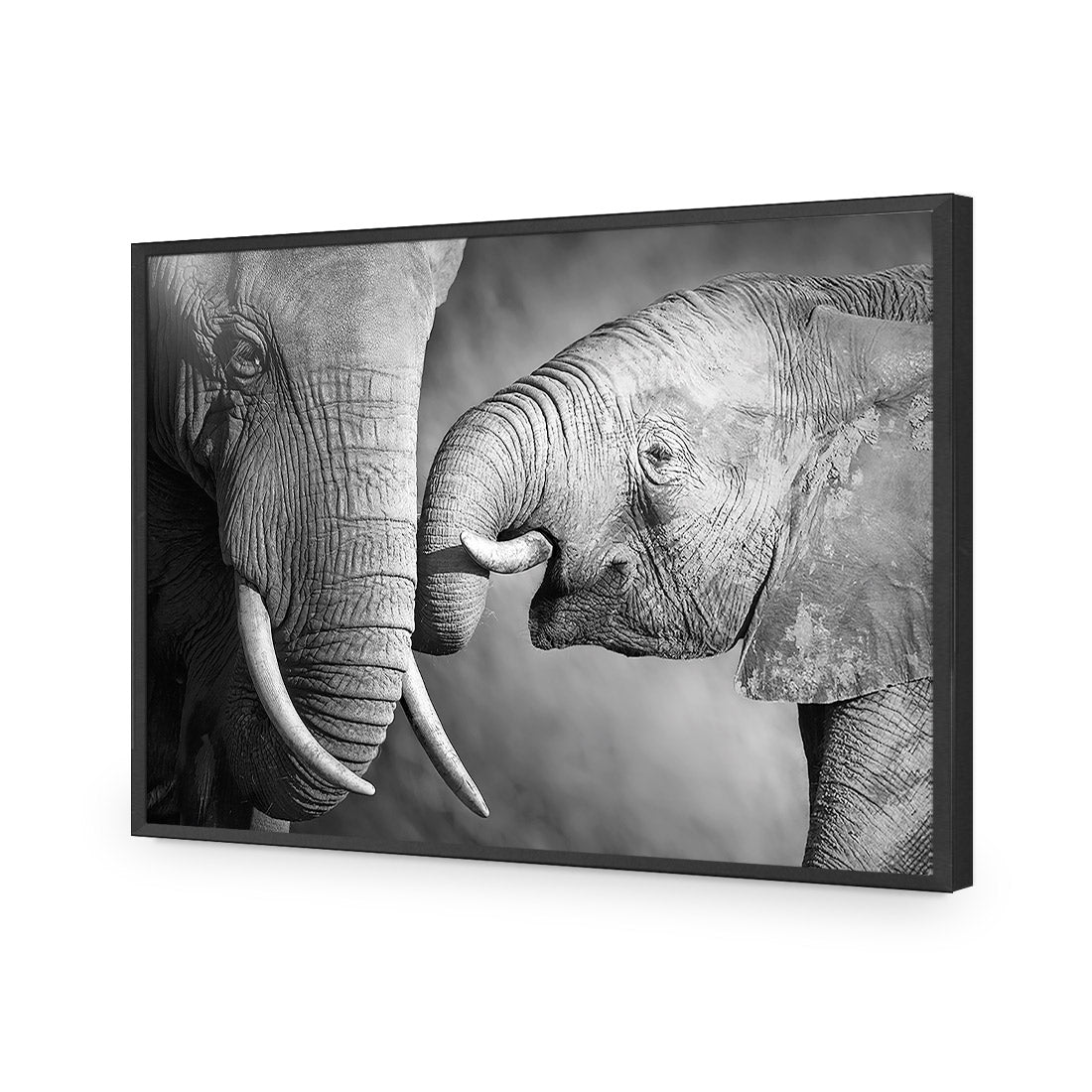 Elephant And Mum, B&W Acrylic Print Art
