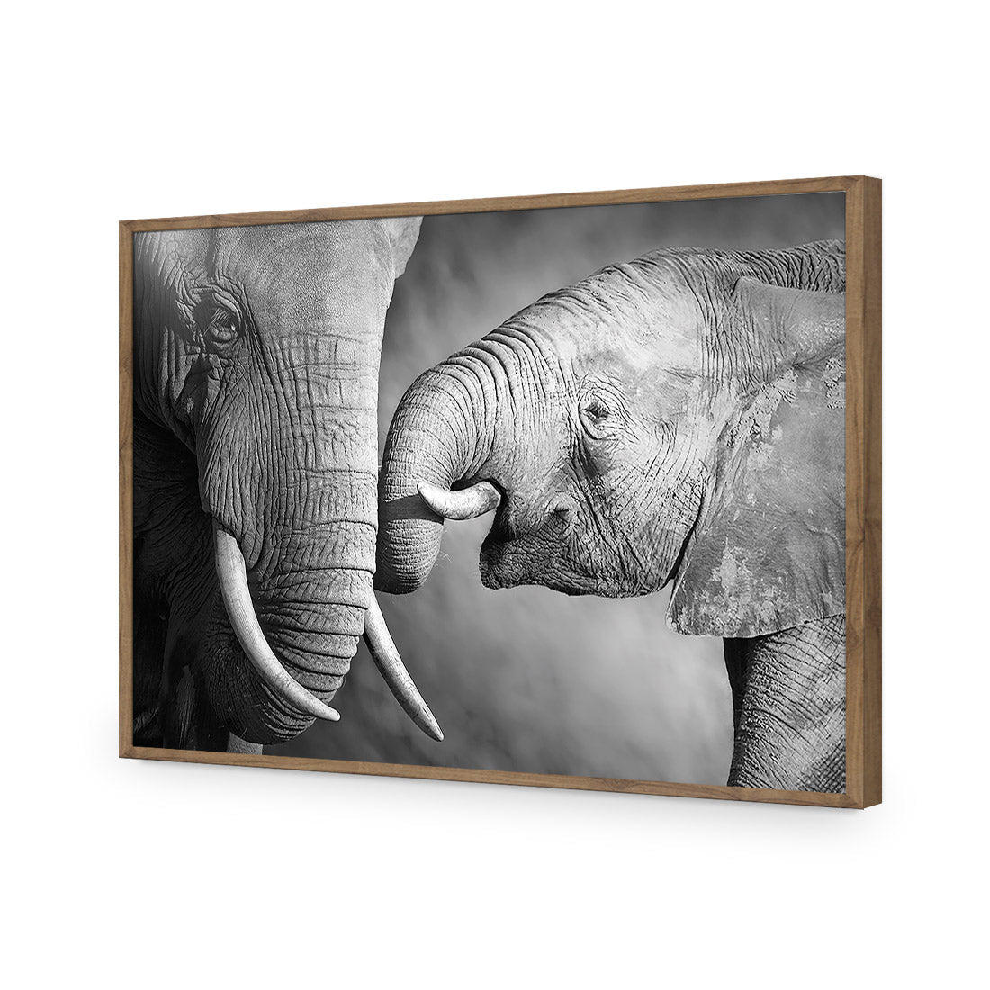 Elephant And Mum, B&W Acrylic Print Art