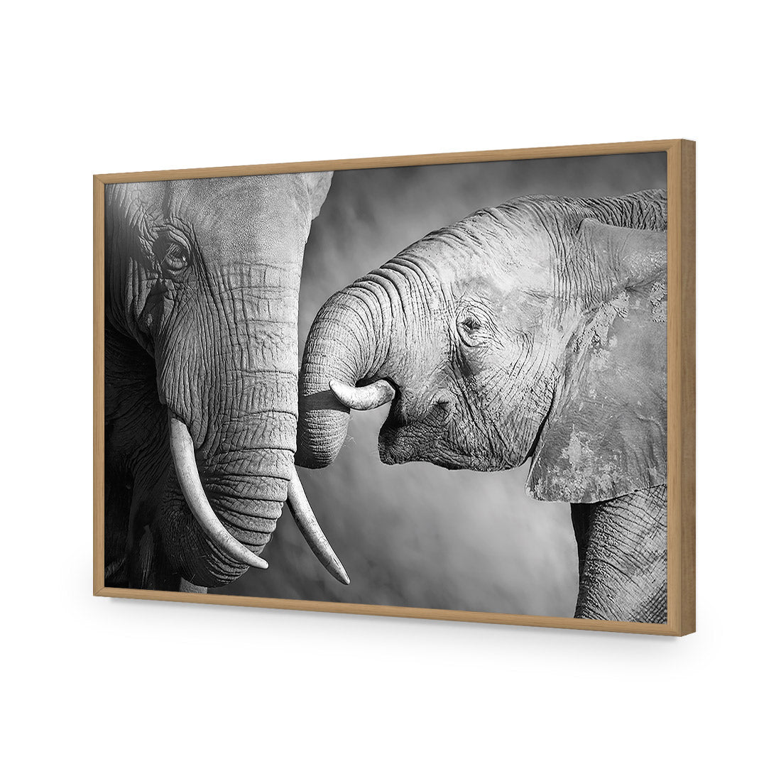 Elephant And Mum, B&W Acrylic Print Art