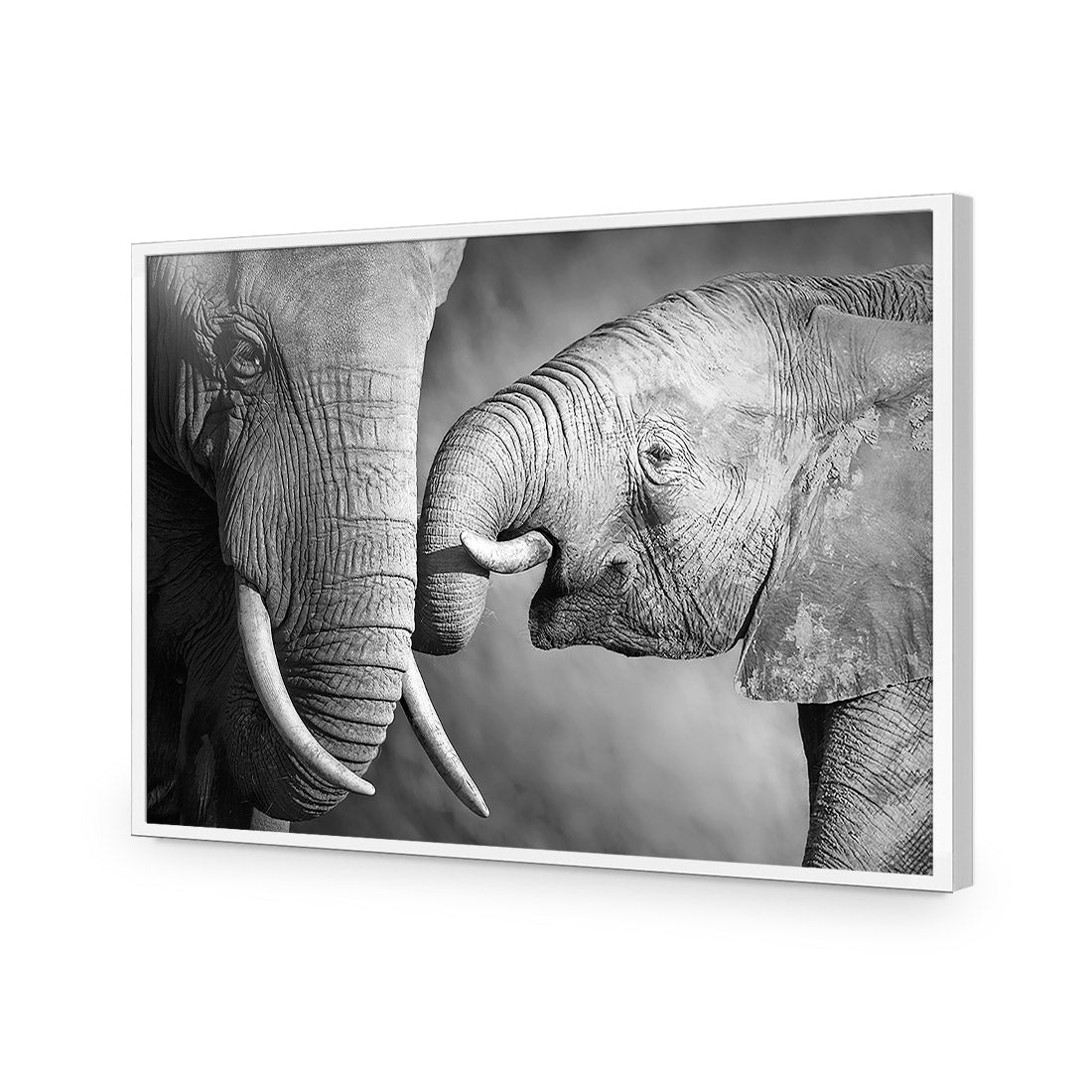 Elephant And Mum, B&W Acrylic Print Art