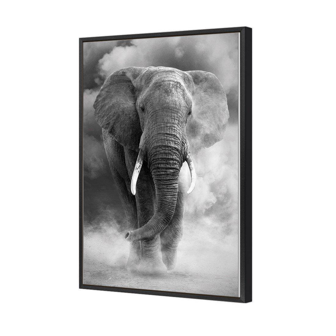 Elephant In Dust, B&W Canvas Art