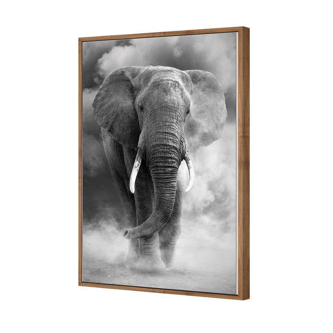 Elephant In Dust, B&W Canvas Art