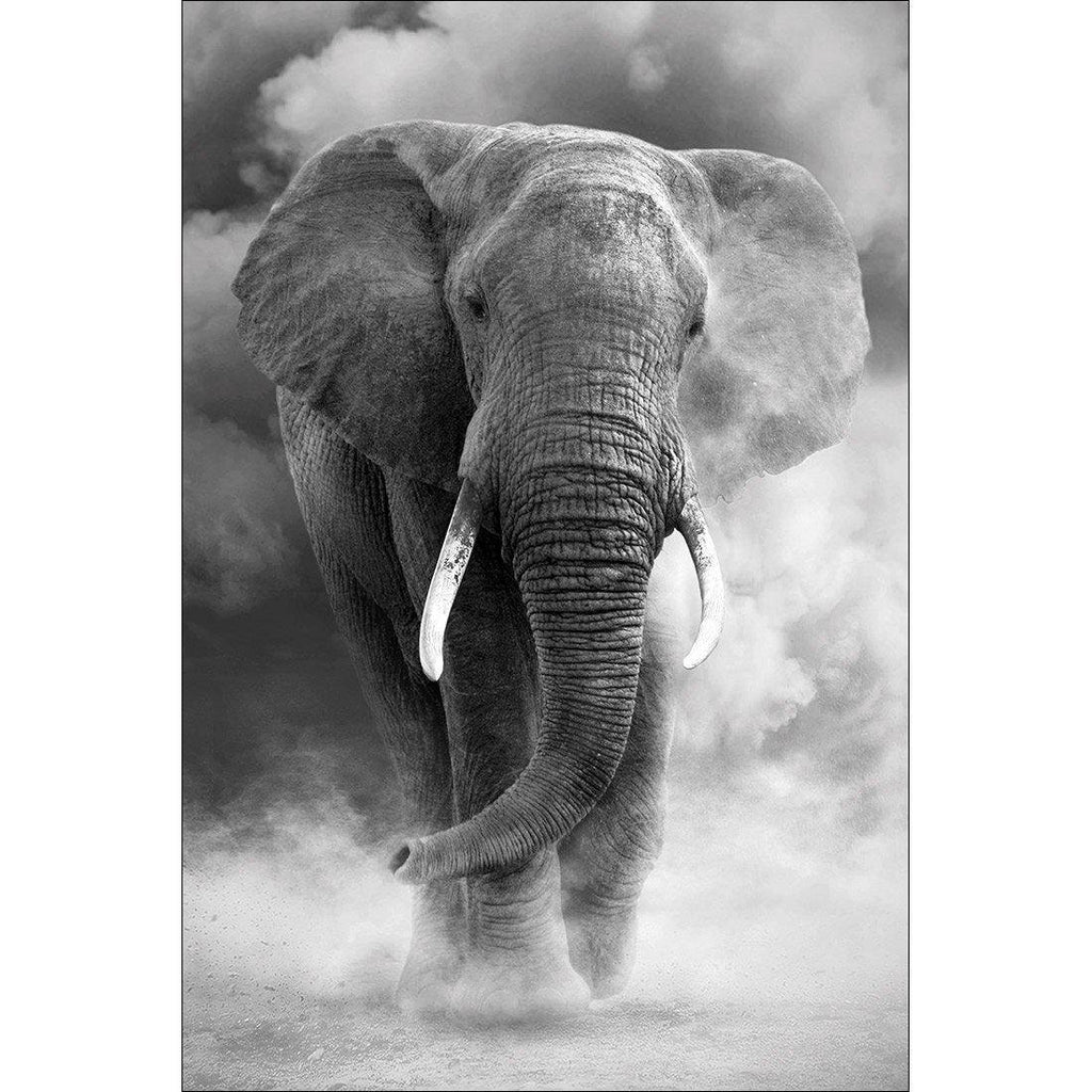 Elephant In Dust, B&W Canvas Art