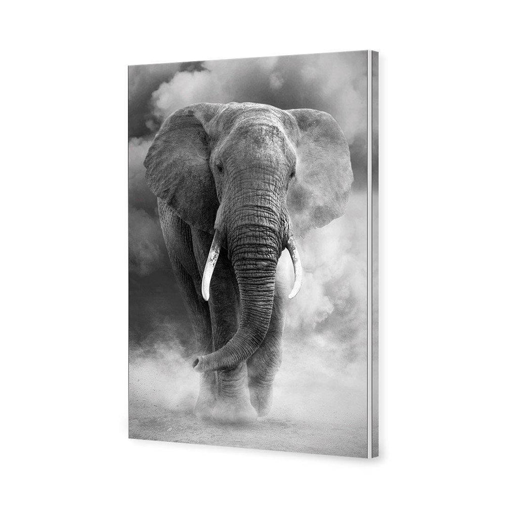 Elephant In Dust, B&W Canvas Art