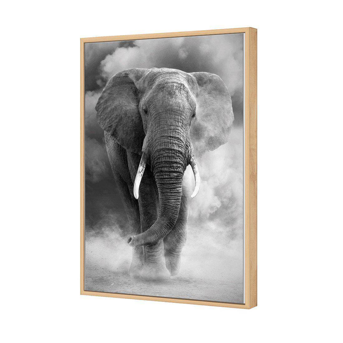 Elephant In Dust, B&W Canvas Art