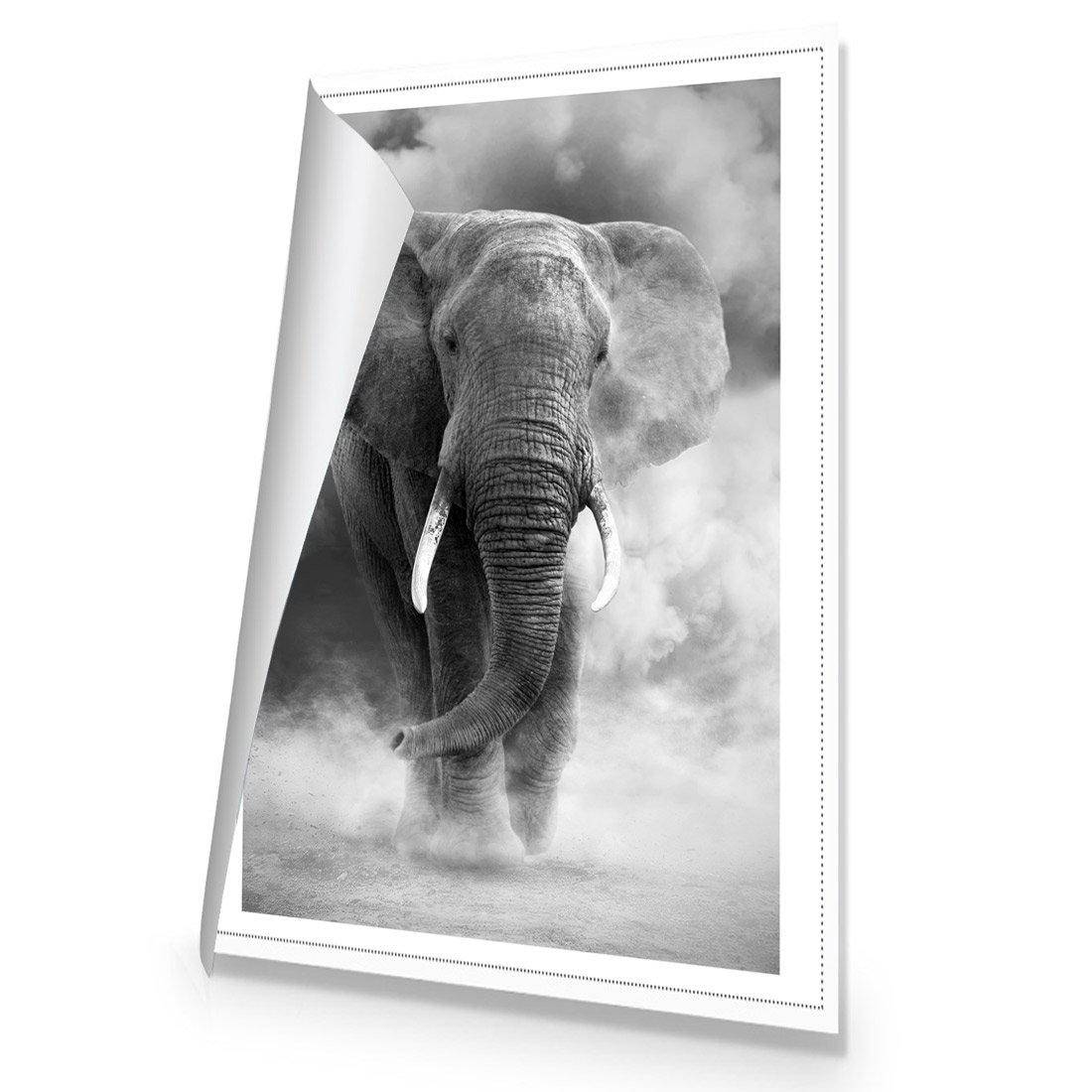 Elephant In Dust, B&W Canvas Art