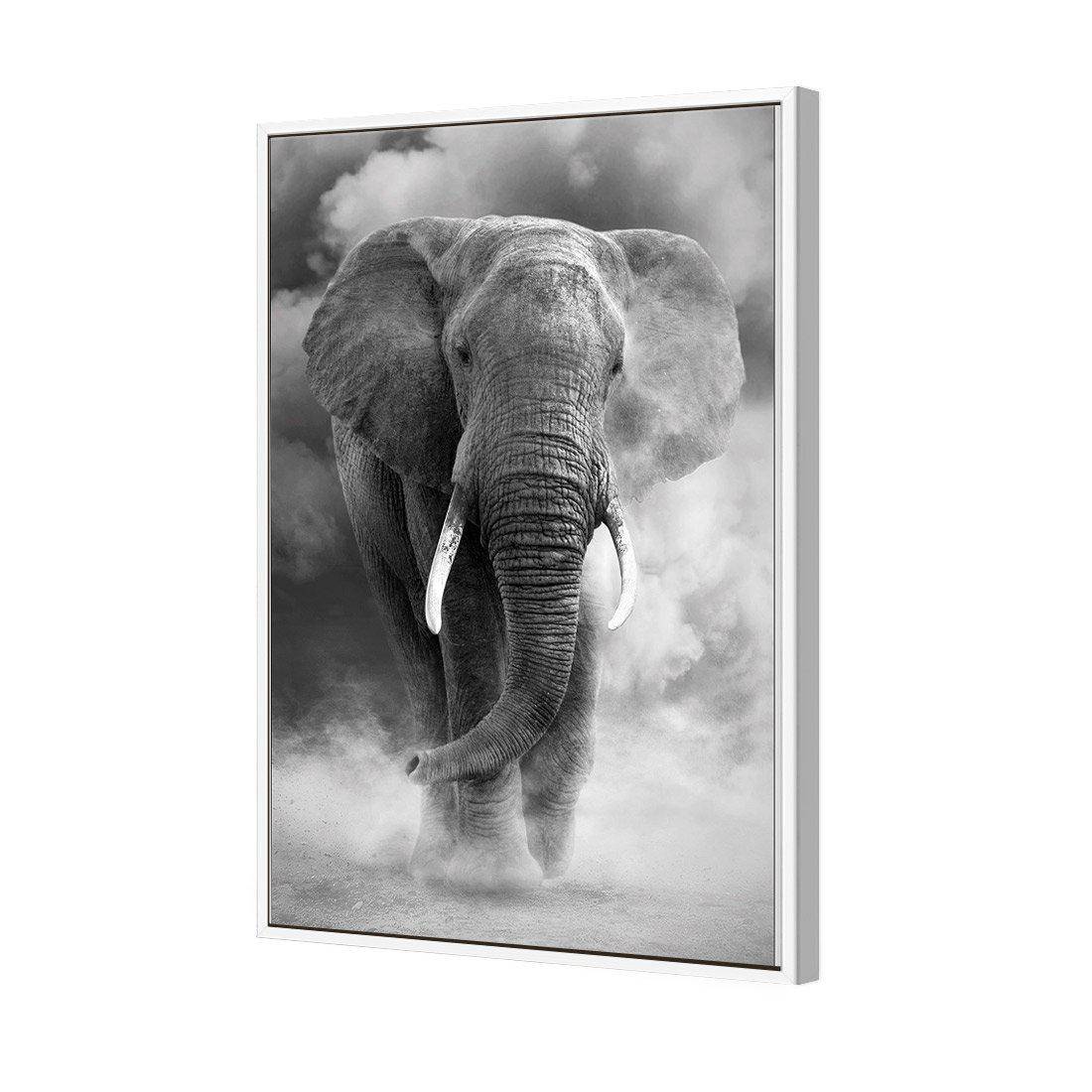 Elephant In Dust, B&W Canvas Art