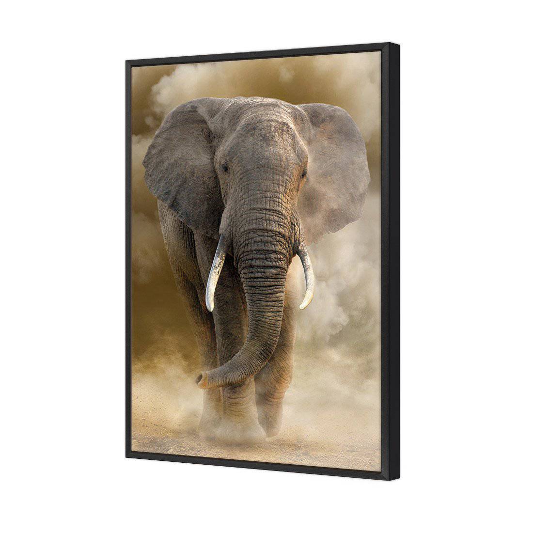 Elephant In Dust Canvas Art