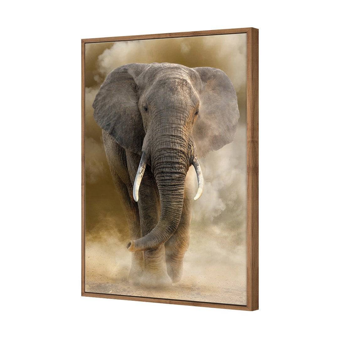 Elephant In Dust Canvas Art