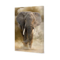 Elephant In Dust Canvas Art