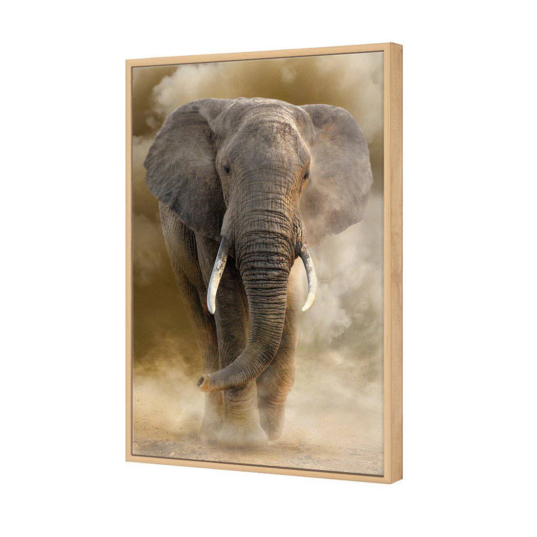 Elephant In Dust Canvas Art