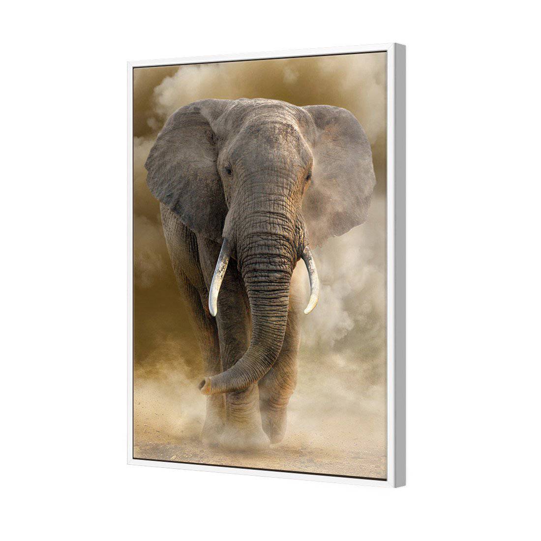 Elephant In Dust Canvas Art