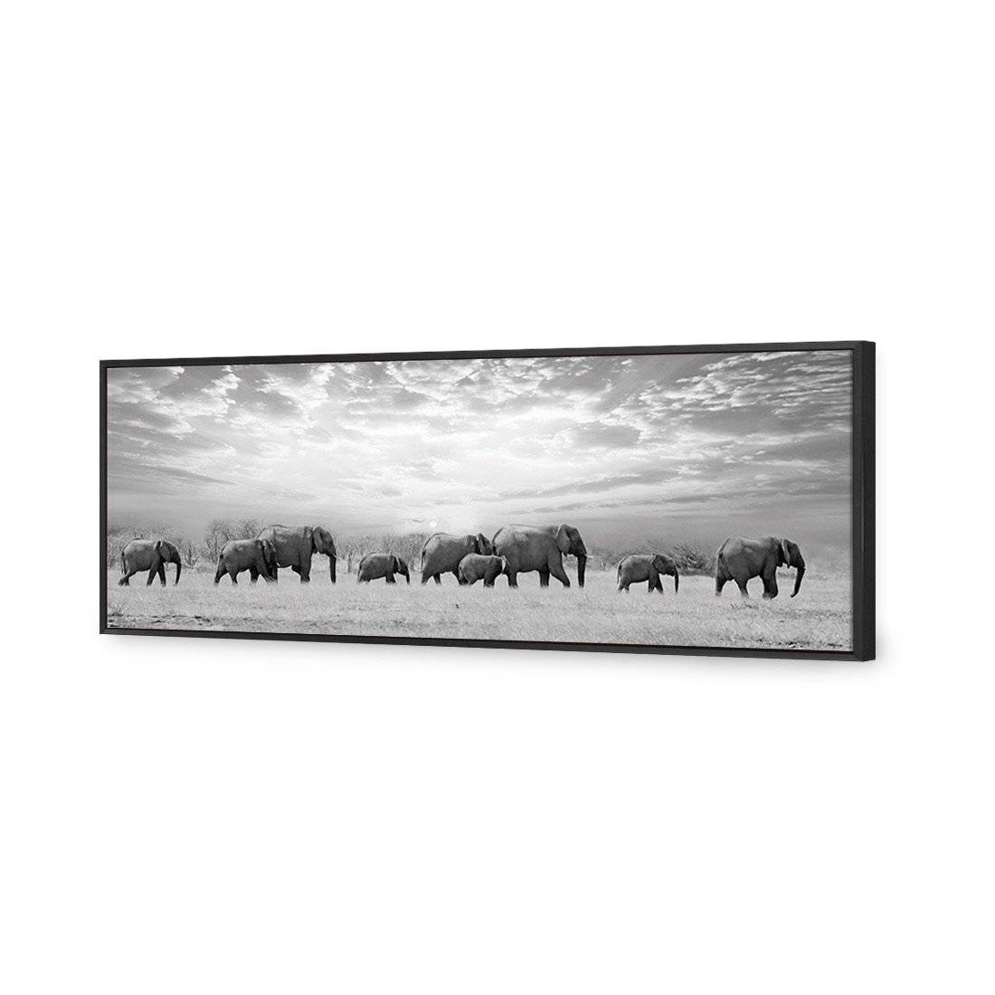 Elephant Trail, B&W Canvas Art