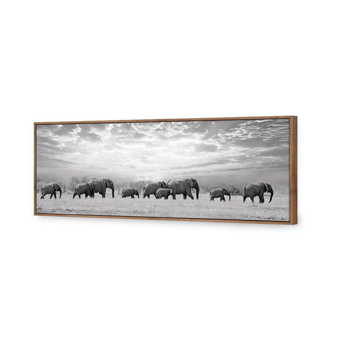 Elephant Trail, B&W Canvas Art