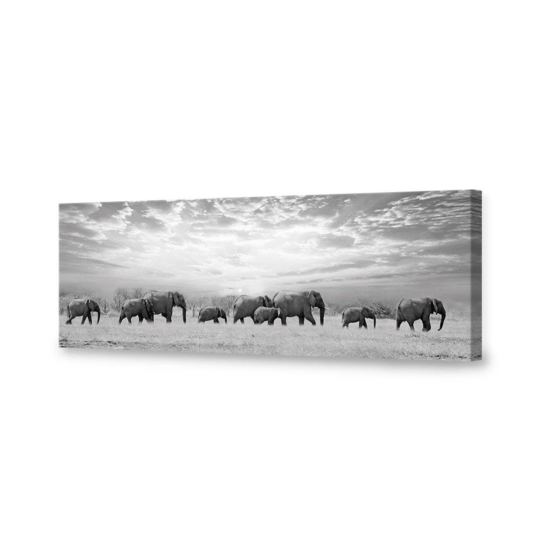 Elephant Trail, B&W Canvas Art