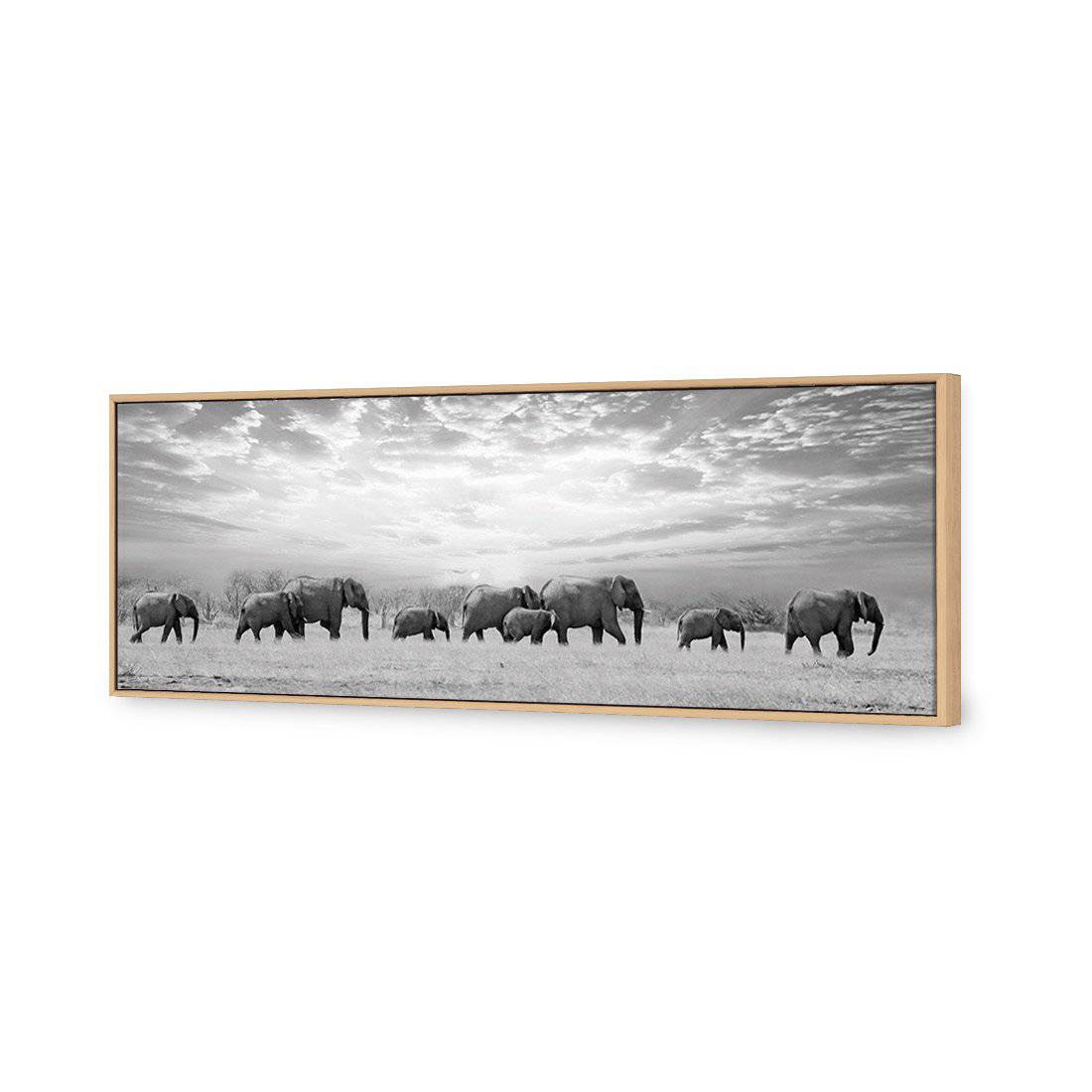 Elephant Trail, B&W Canvas Art