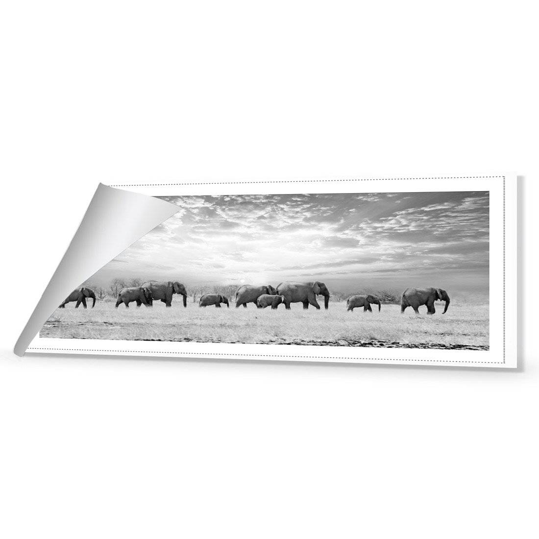 Elephant Trail, B&W Canvas Art