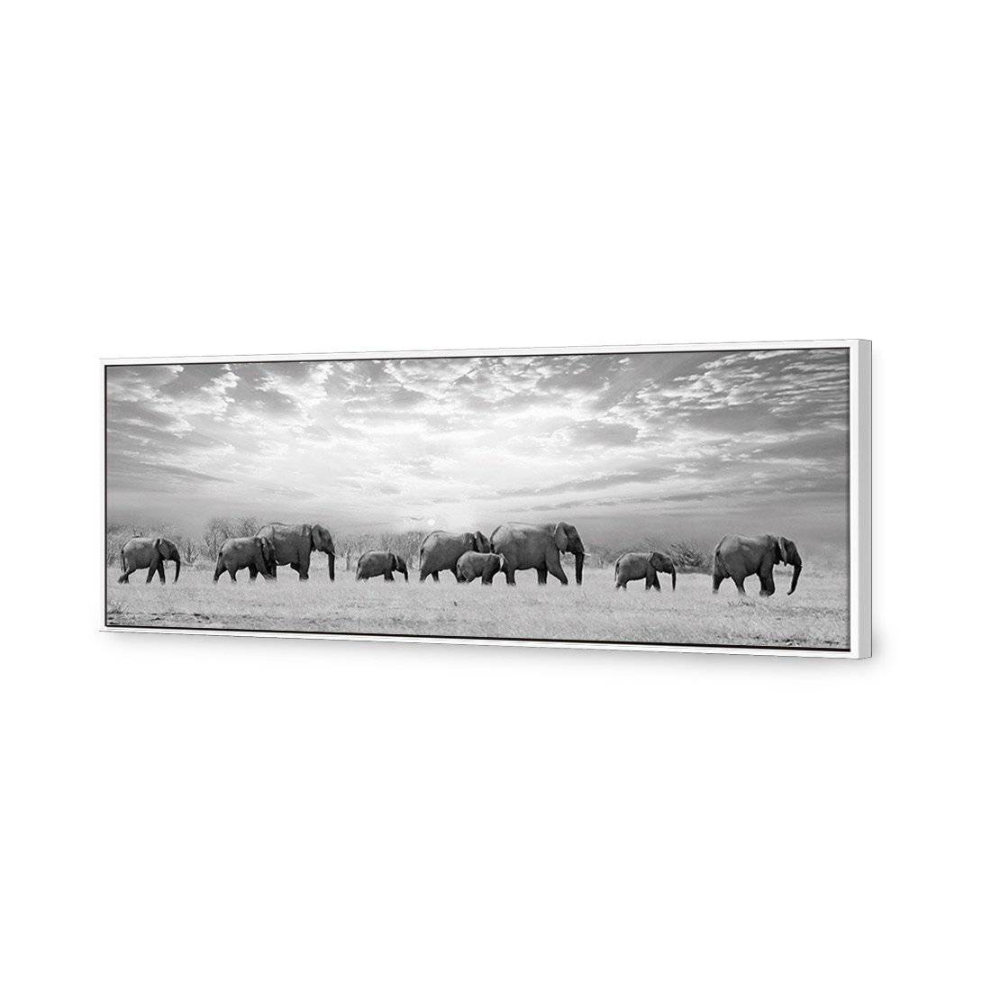 Elephant Trail, B&W Canvas Art