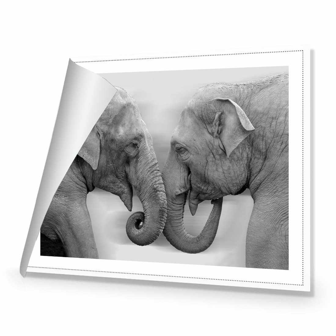 Elephants Kissing, B&W Canvas Art