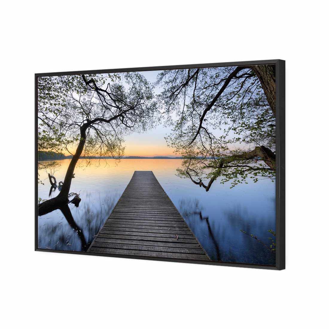 Escaped Canvas Art