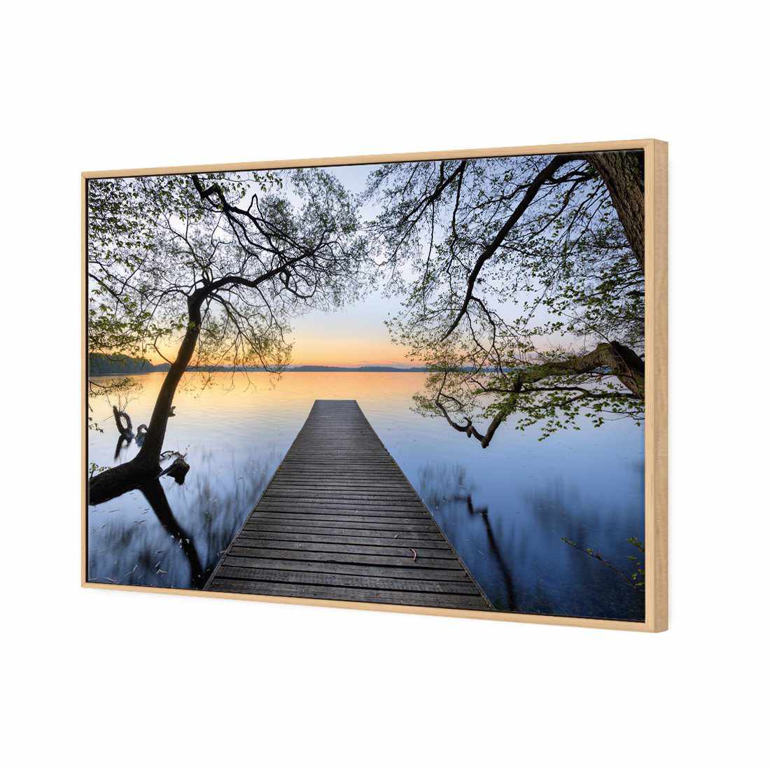 Escaped Canvas Art