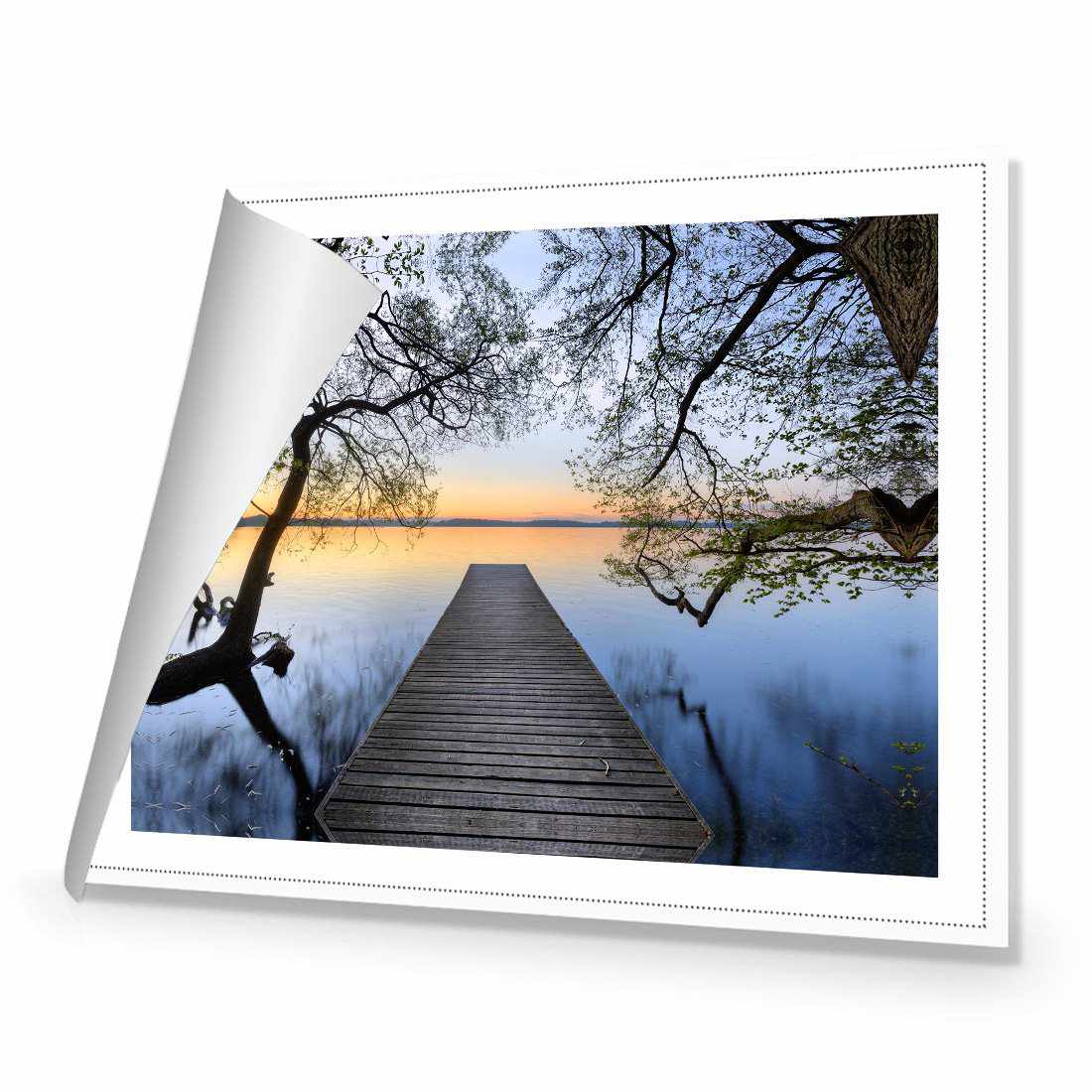 Escaped Canvas Art