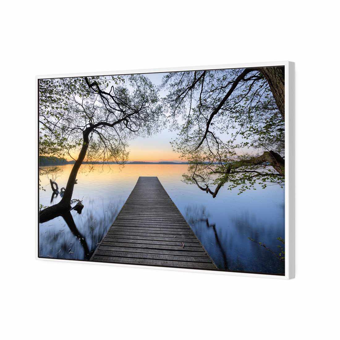 Escaped Canvas Art