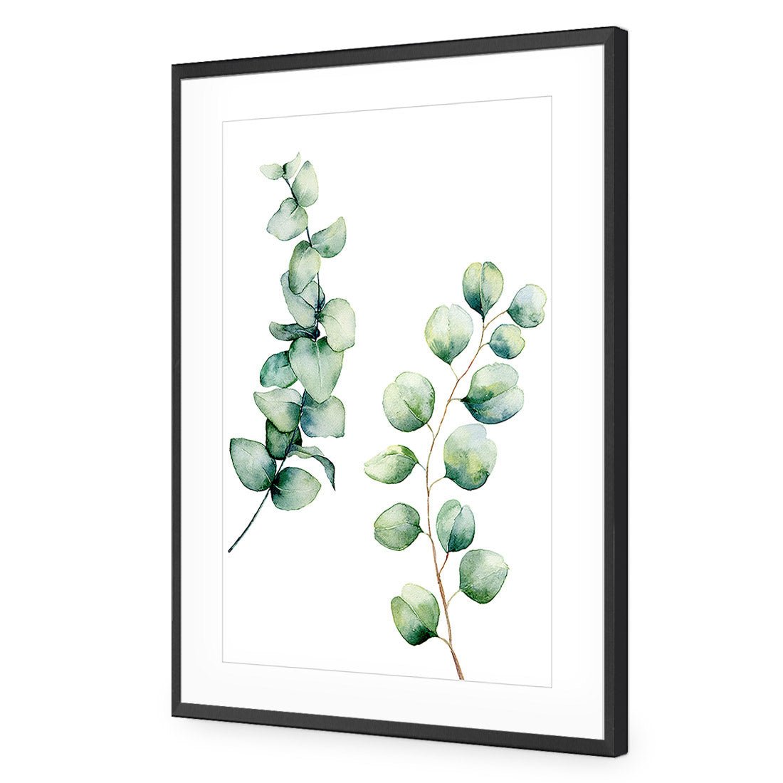 Eucalyptus Duo Acrylic Print Art