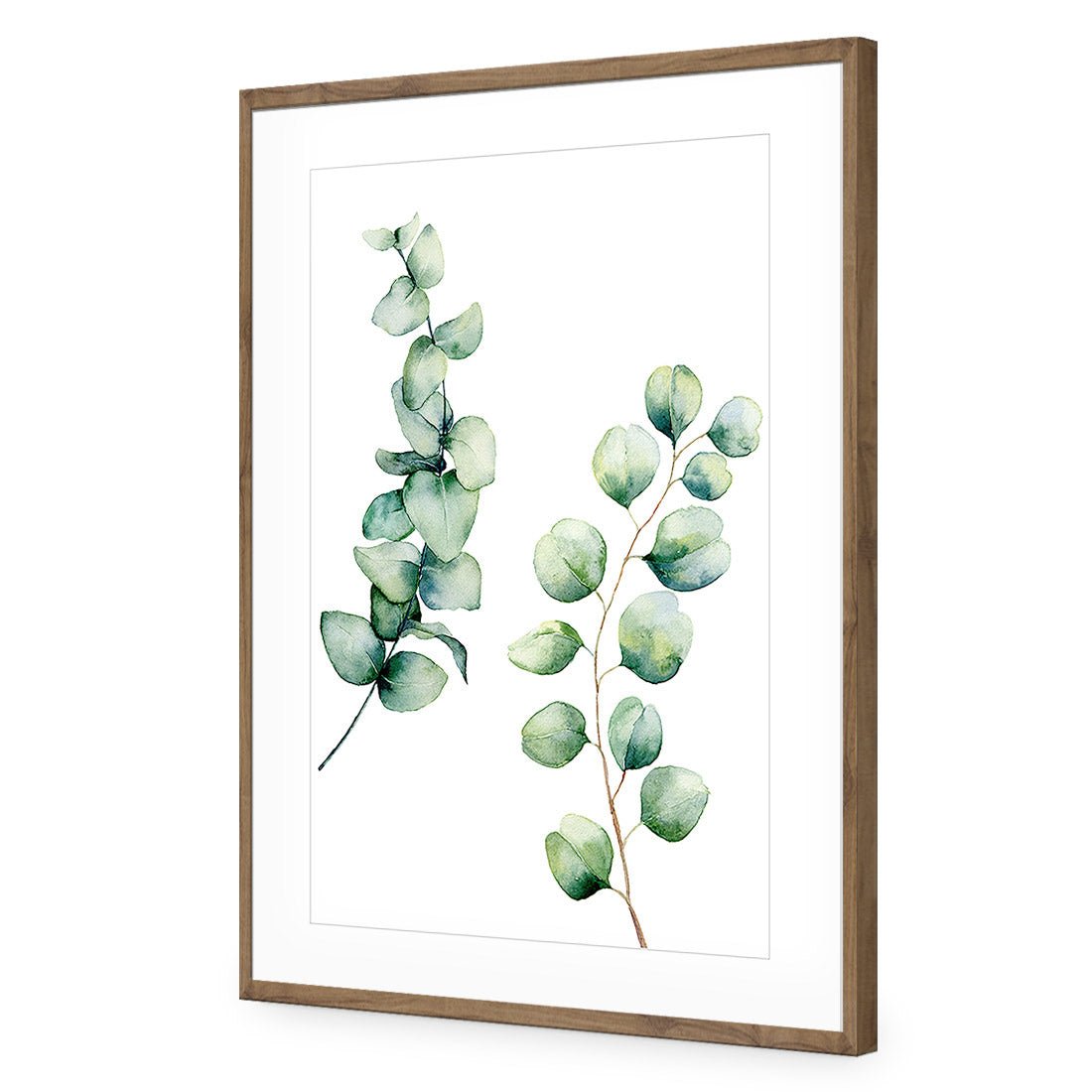 Eucalyptus Duo Acrylic Print Art