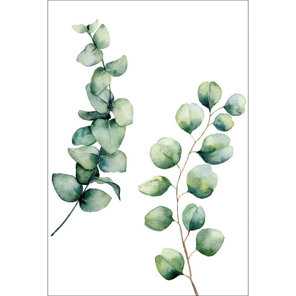 Eucalyptus Duo Acrylic Print Art