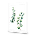 Eucalyptus Duo Acrylic Print Art