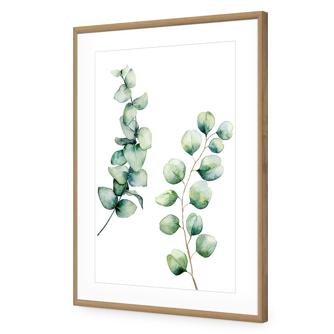 Eucalyptus Duo Acrylic Print Art