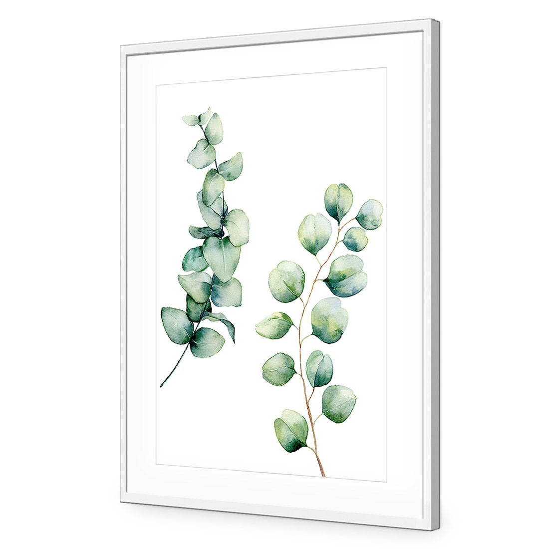 Eucalyptus Duo Acrylic Print Art