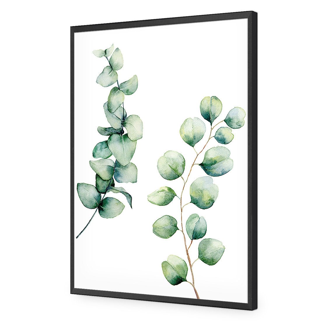 Eucalyptus Duo Acrylic Print Art