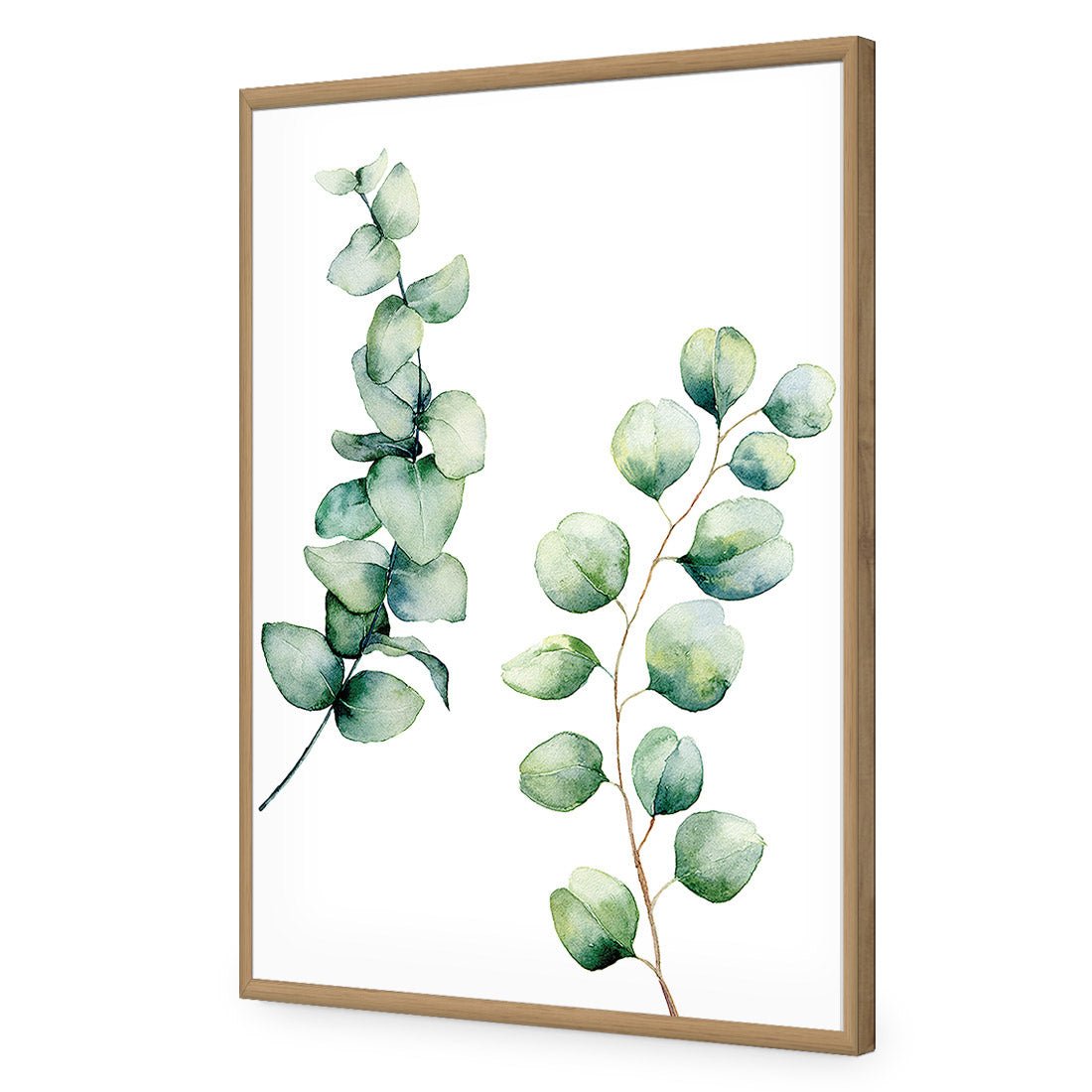 Eucalyptus Duo Acrylic Print Art