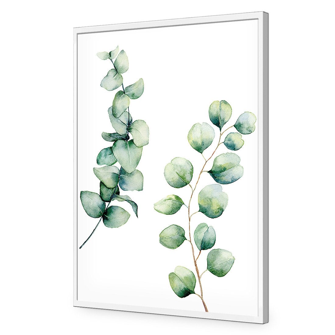 Eucalyptus Duo Acrylic Print Art