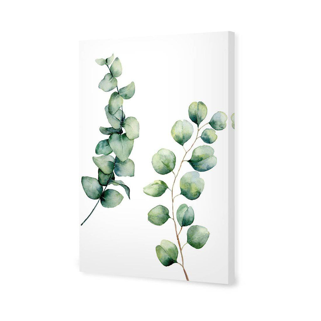 Eucalyptus Duo Canvas Art