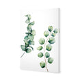 Eucalyptus Duo Canvas Art