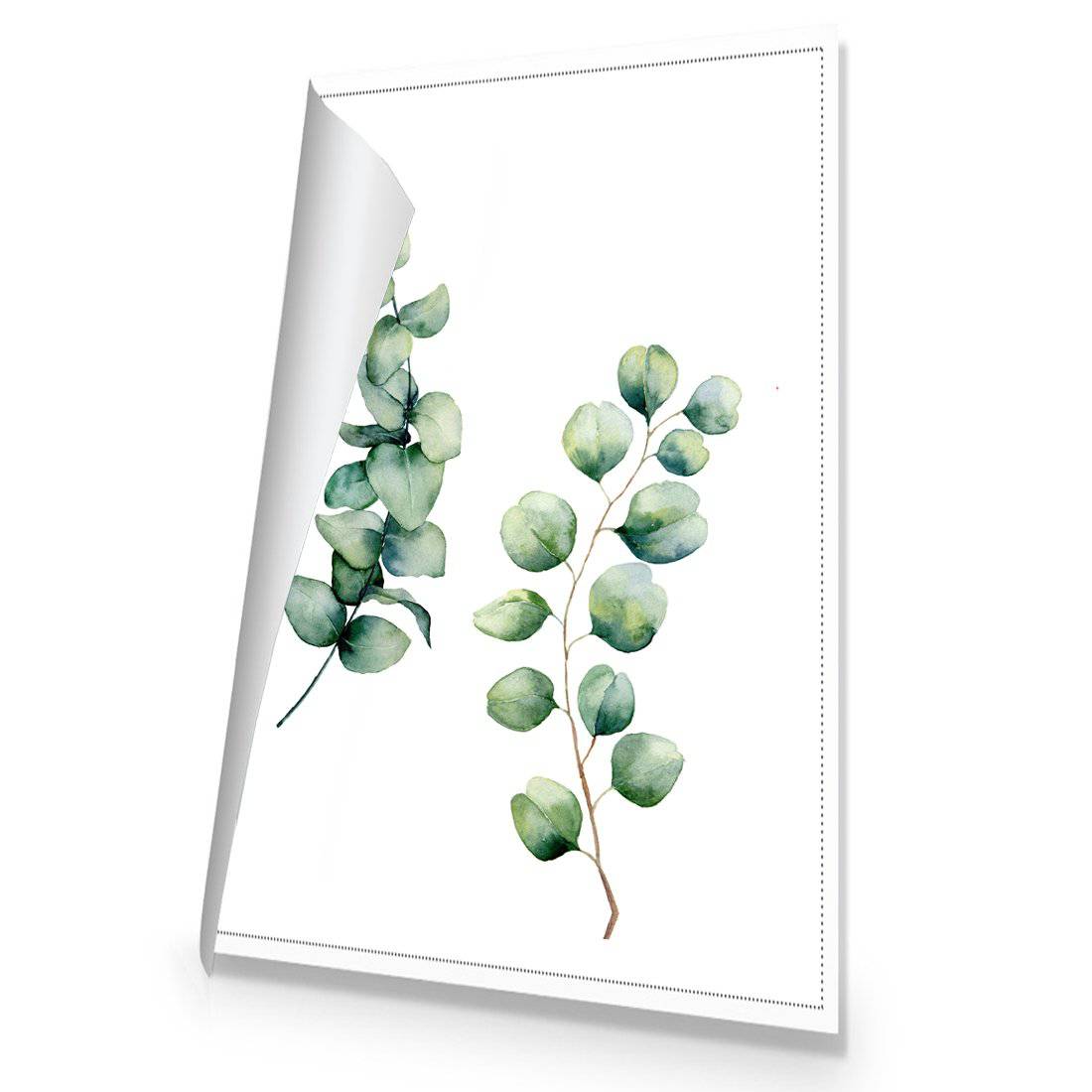 Eucalyptus Duo Canvas Art