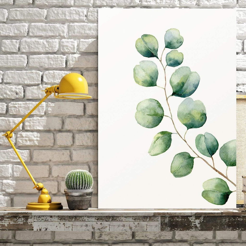Eucalyptus Solo