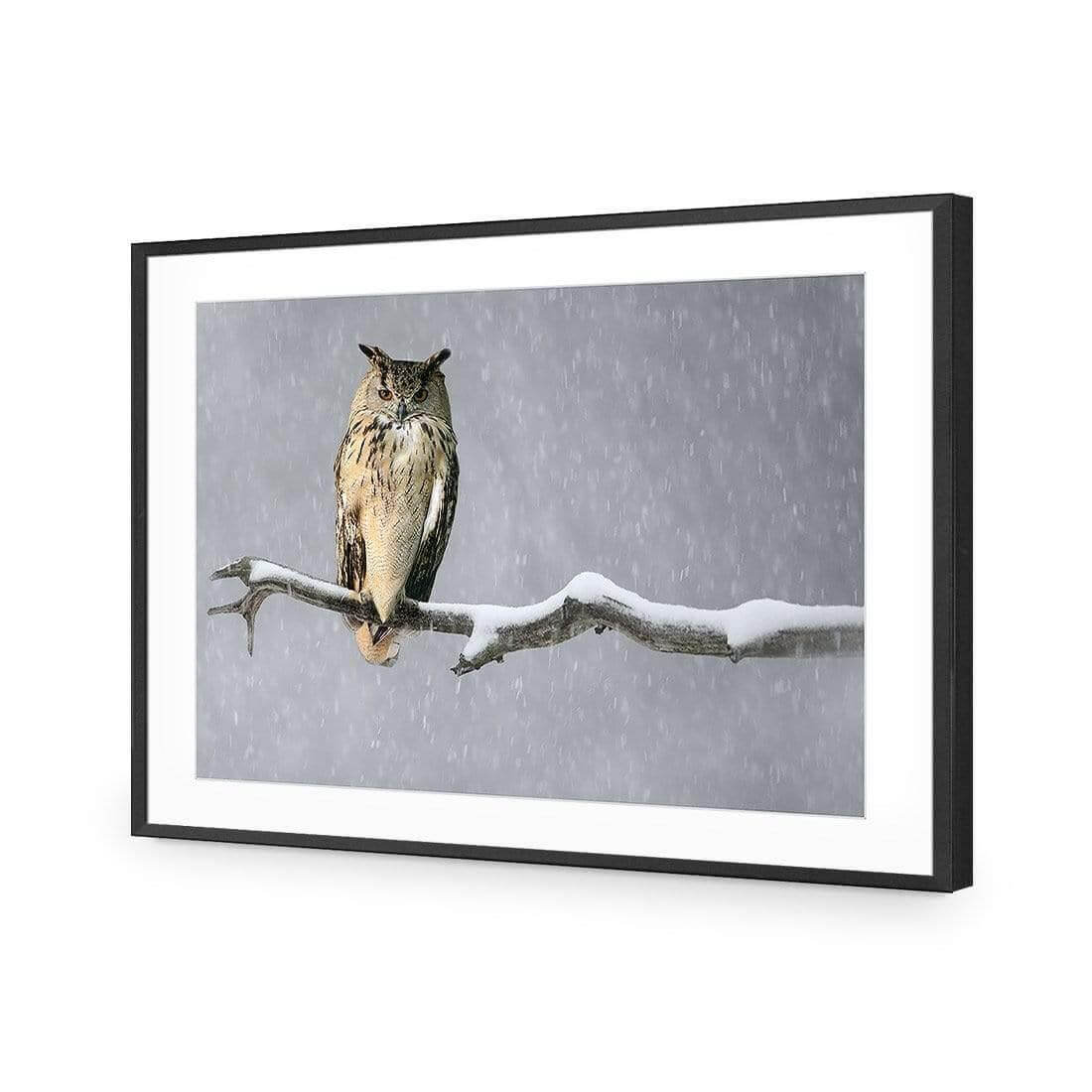 Eurasian Eagle Owl